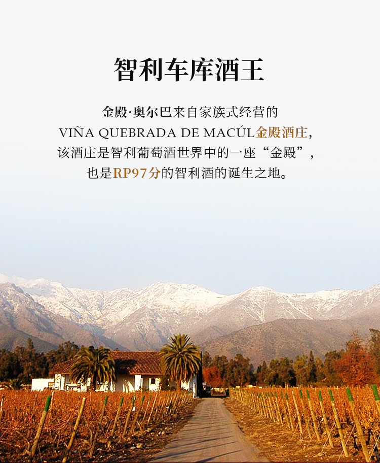 2013年份智利车库酒庄金殿奥尔巴albadedomus赤霞珠干红葡萄酒
