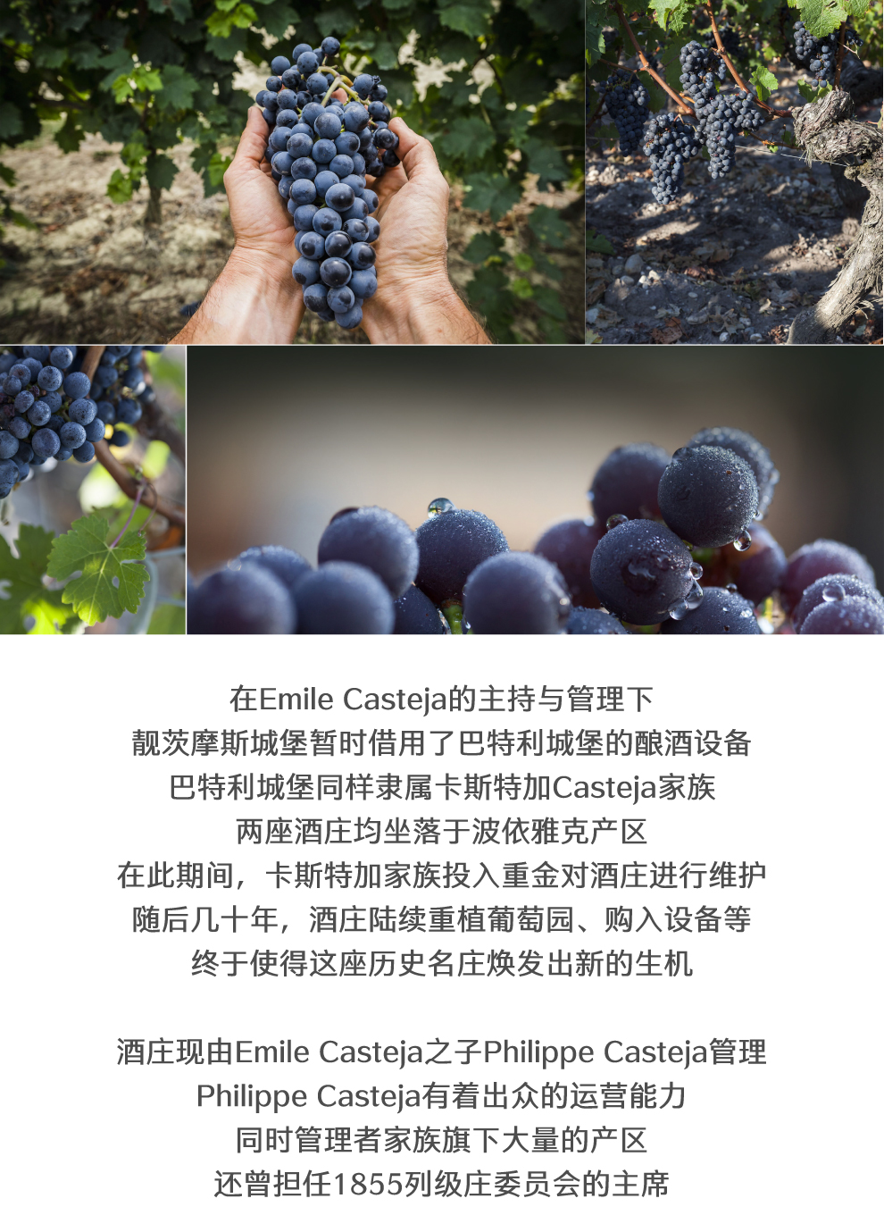 跨境靓茨摩斯城堡干红葡萄酒20166868chateaulynchmoussas2016
