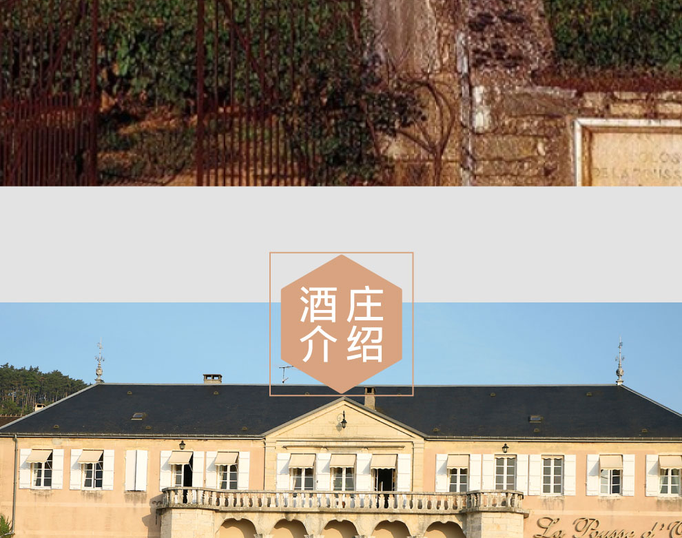 波玛佳候利耶干红葡萄酒2016 | domaine de la pousse dor pommard