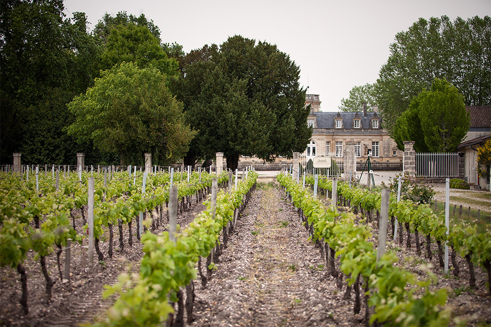 原装原瓶进口宝孟城堡干红葡萄酒2021 | chateau beaumont 2021