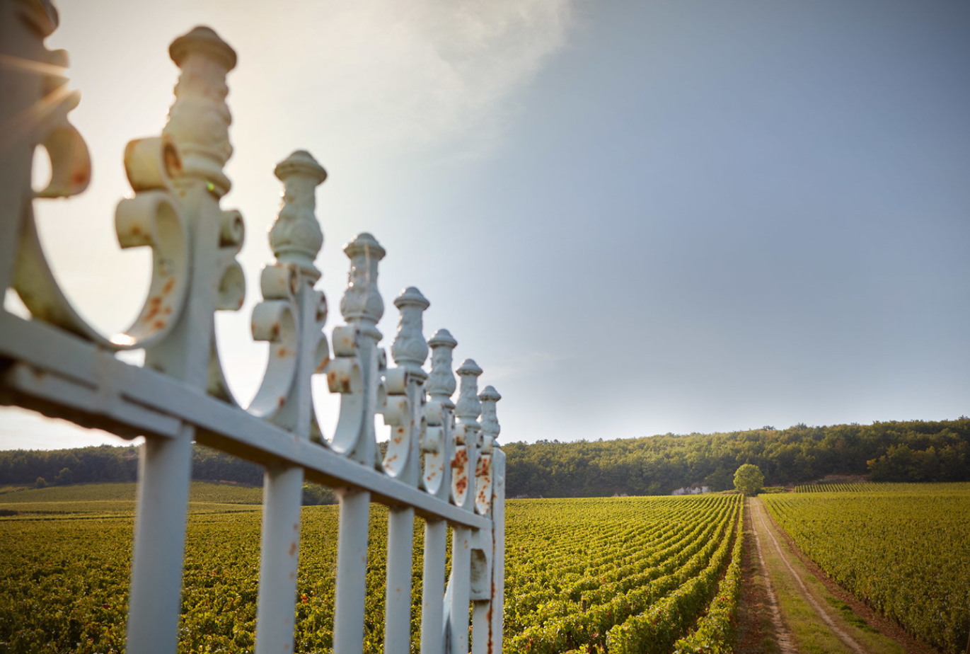 哈洛特酒庄夜之圣乔治森林园干红葡萄酒2018