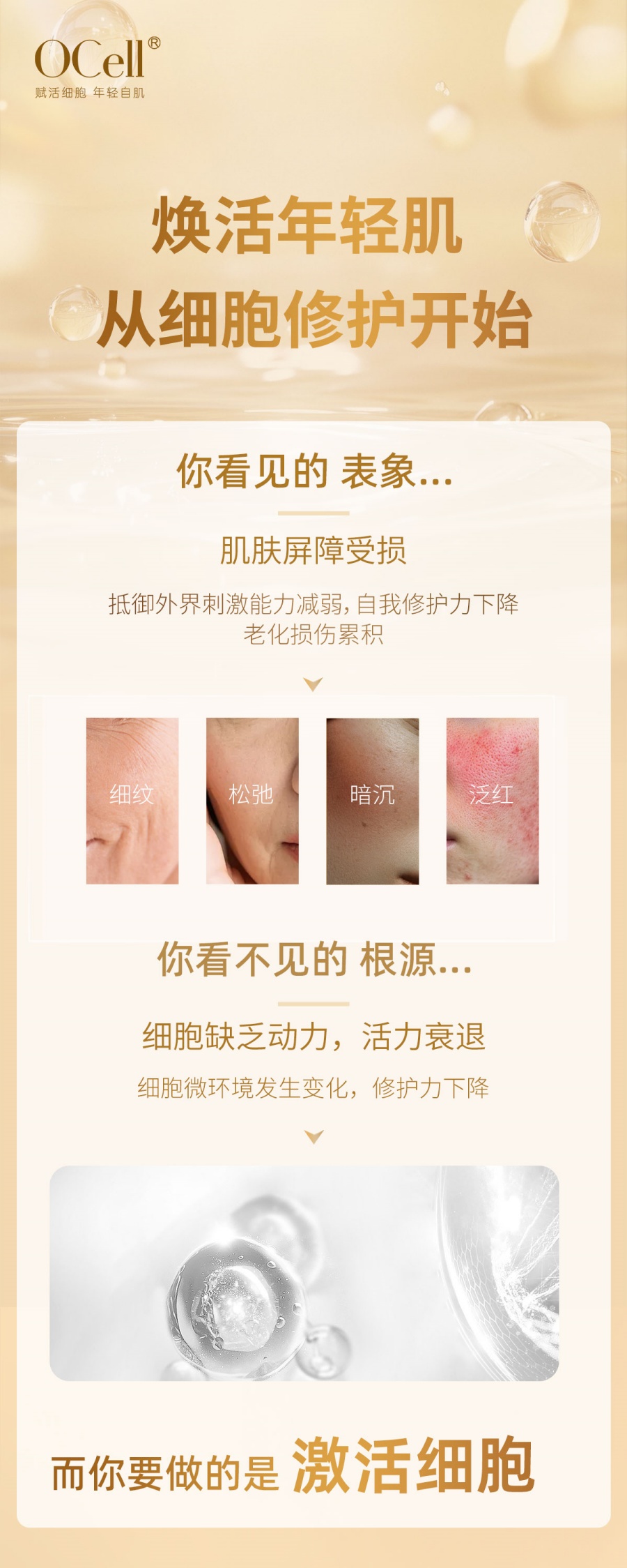 赋活修颜精华01_副本.jpg