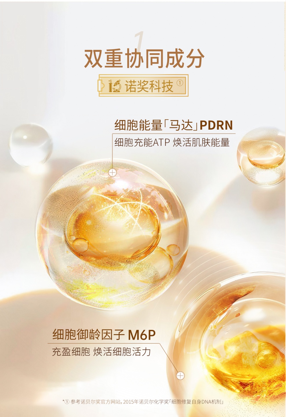 13_副本.jpg