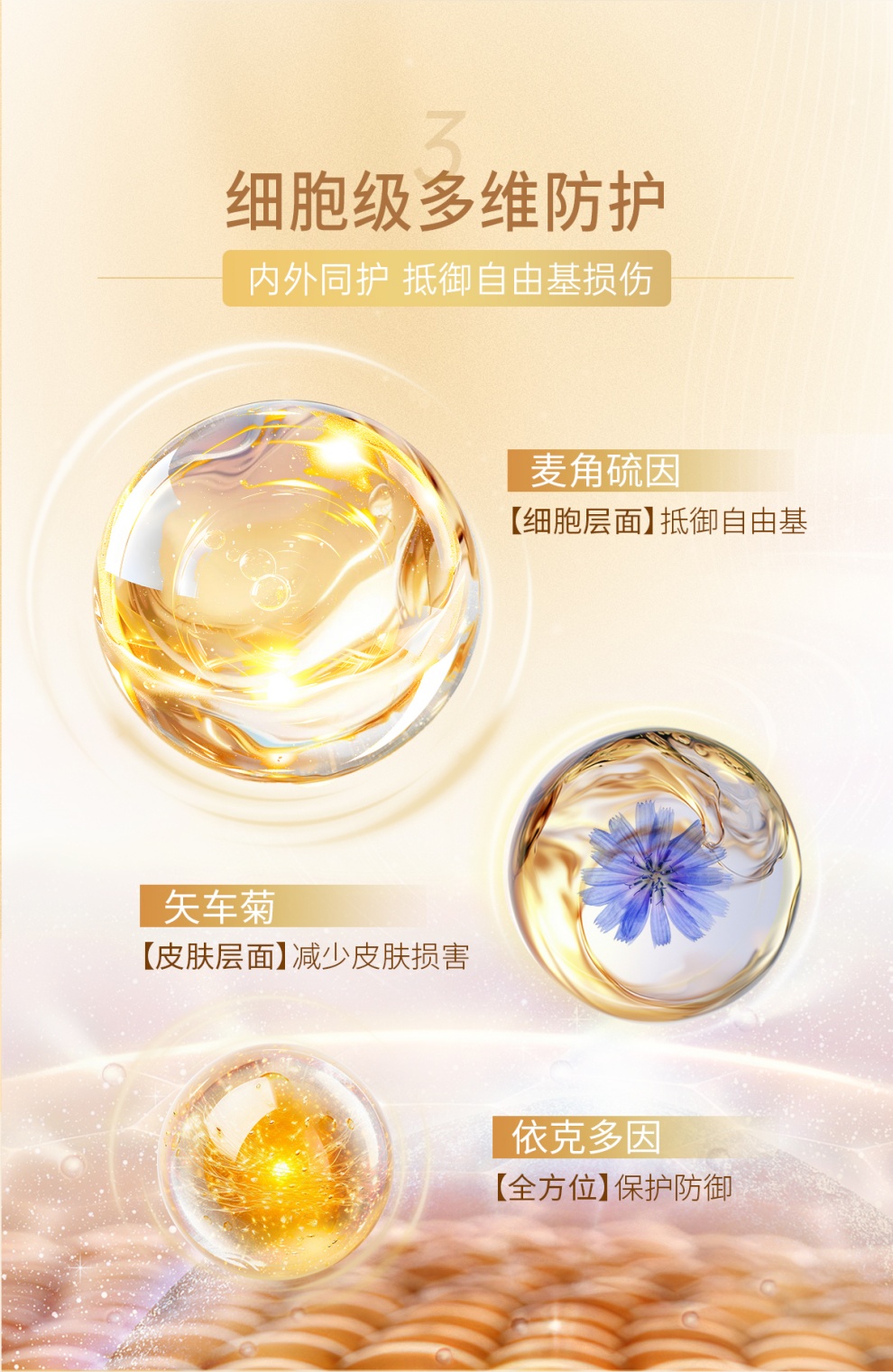 15_副本.jpg
