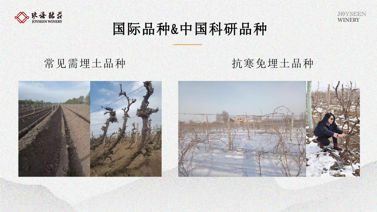 2025年玖禧酩庄品牌宣传(9月新版)_11.png