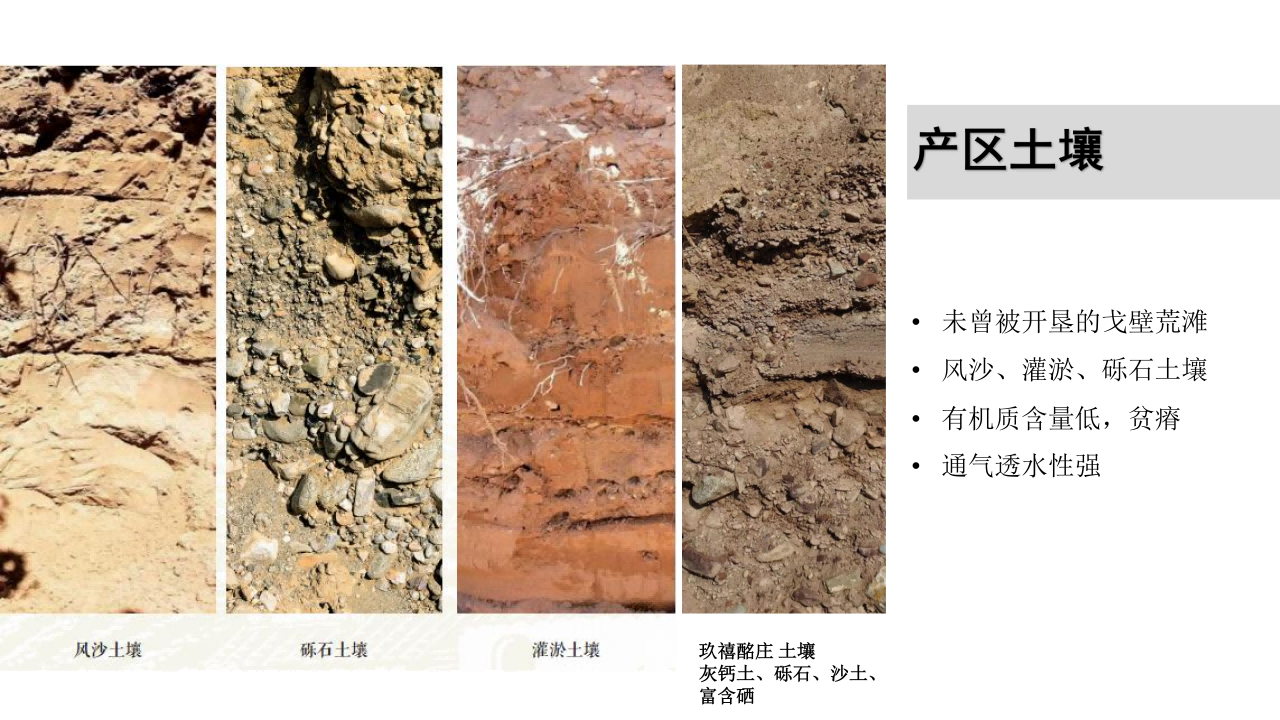 2025年玖禧酩庄品牌宣传(9月新版)_03.png