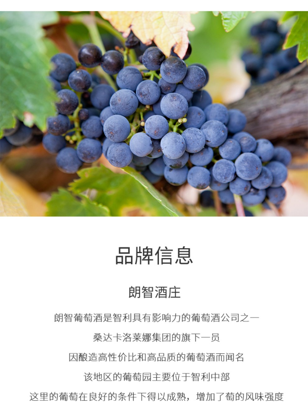 LY01详情_05.jpg