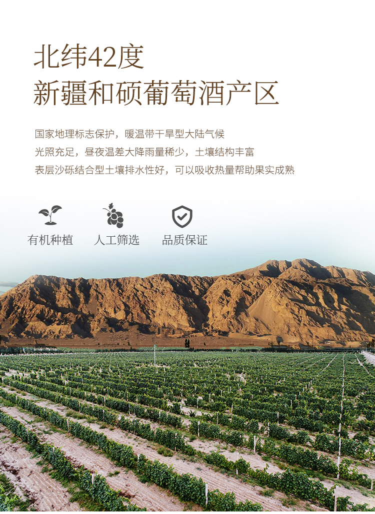 红酒详情-11_04.jpg
