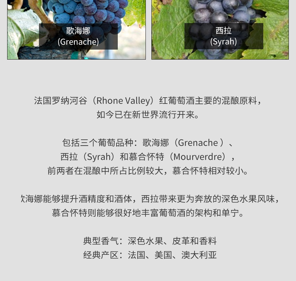 未标题-1_04.jpg