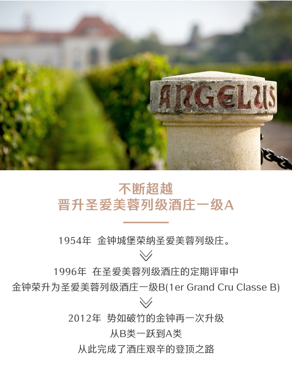 原装原瓶进口金钟城堡干红葡萄酒2009 | chateau angelus 2009_【价格