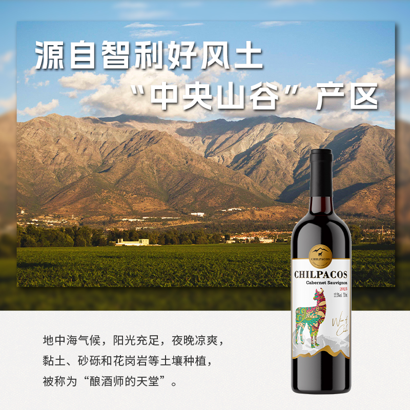 智驼 750ml*6整箱【国际双金奖 智利原瓶进口】红酒干红葡萄酒甜美中央山谷送礼酒 