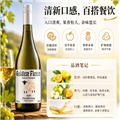 双只大促 南澳霞多丽干白 金羊毛手绘系列 2025 750ml*2