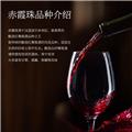 国菲山湖干红葡萄酒