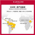 卡乐罗咖啡豆1927阿拉比卡摩卡壶250g/罐