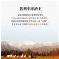 智利车库酒庄 金殿·奥尔巴Alba de Domus 750mlx6 干红葡萄酒