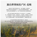 金殿·多墨山 智利十八罗汉 车库酒王 智利红酒葡萄酒 750mlx6 原瓶进口 