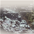 兰维乐地下矿泉水（含气）(360mlX24）