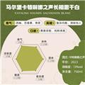 【一般贸易】 新西兰进口双金奖经典马尔堡产区卡特琳娜之声长相思干型白葡萄酒750ml*6瓶整箱