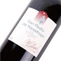 圣佩德罗雅可舒雅马尔贝克干红葡萄酒2014