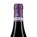 拉法基维拉酒庄福乐里维尔奈园干红葡萄酒2019