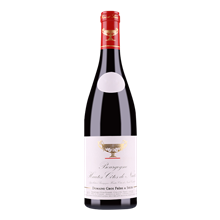 大金杯上夜丘干红葡萄酒2019